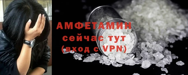 сатива Беломорск