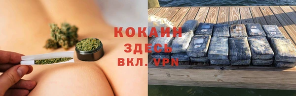 сатива Беломорск