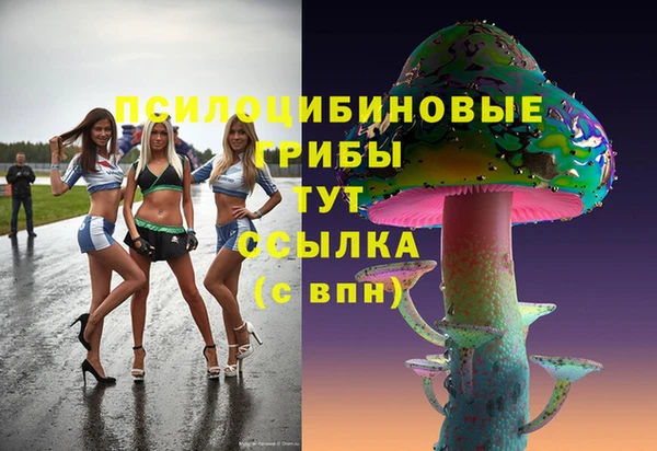 сатива Беломорск