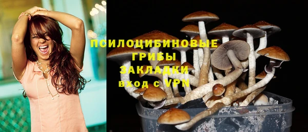 сатива Беломорск