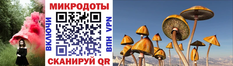 Галлюциногенные грибы прущие грибы  hydra   Буинск 
